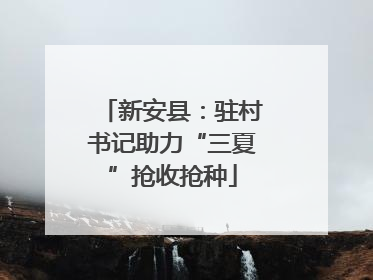 新安县：驻村书记助力“三夏”抢收抢种