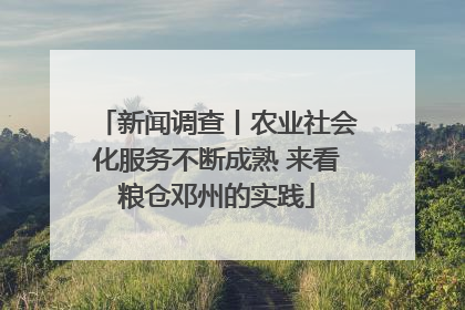 新闻调查丨农业社会化服务不断成熟 来看粮仓邓州的实践