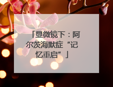 显微镜下：阿尔茨海默症“记忆重启”