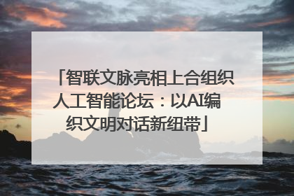 智联文脉亮相上合组织人工智能论坛：以AI编织文明对话新纽带