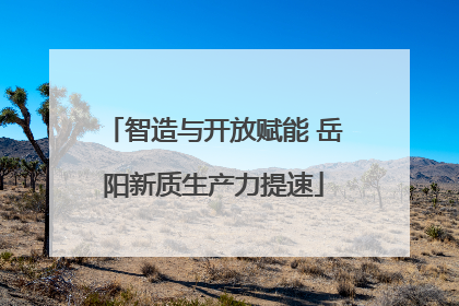 智造与开放赋能 岳阳新质生产力提速