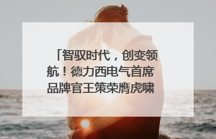 智驭时代，创变领航！德力西电气首席品牌官王策荣膺虎啸奖年度品牌人物