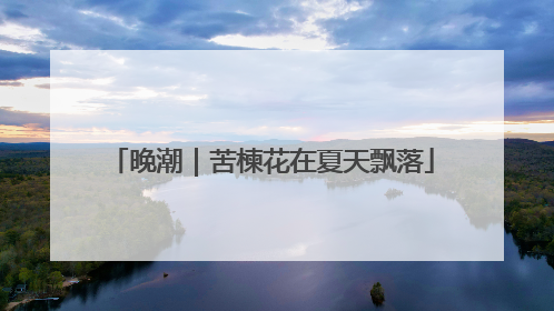 晚潮｜苦楝花在夏天飘落