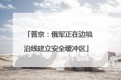 普京：俄军正在边境沿线建立安全缓冲区