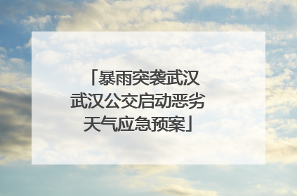 暴雨突袭武汉 武汉公交启动恶劣天气应急预案