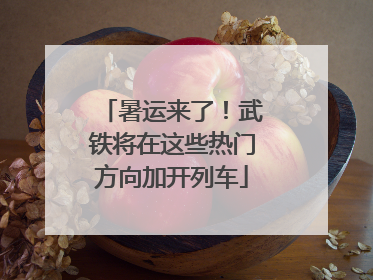 暑运来了！武铁将在这些热门方向加开列车