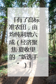 有了高标准农田，亩均纯利增六成（经济聚焦·夏收里的“新选手”）