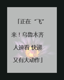 正在“飞”来！乌鲁木齐人速看 快递又有大动作