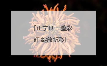 正宁县 一盏彩灯 绽放新彩