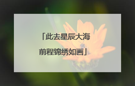 此去星辰大海 前程锦绣如画