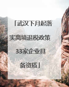 武汉下月起落实离境退税政策 33家企业具备资质