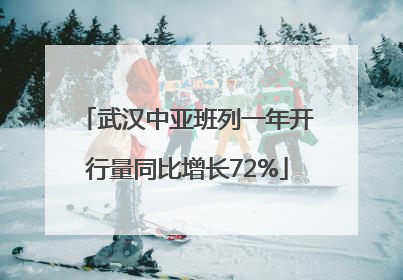 武汉中亚班列一年开行量同比增长72%