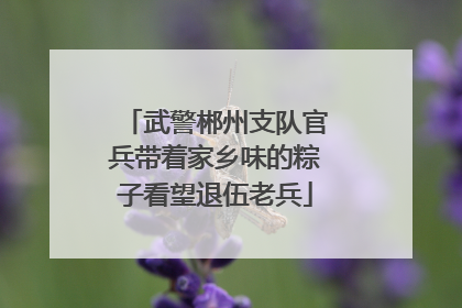 武警郴州支队官兵带着家乡味的粽子看望退伍老兵