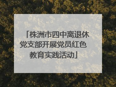 株洲市四中离退休党支部开展党员红色教育实践活动