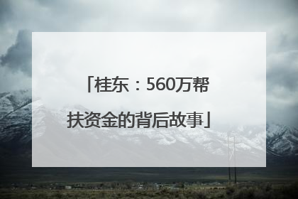 桂东：560万帮扶资金的背后故事