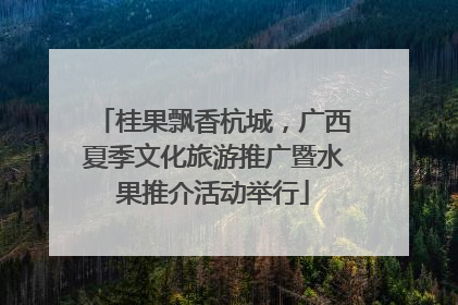 桂果飘香杭城，广西夏季文化旅游推广暨水果推介活动举行
