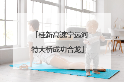 桂新高速宁远河特大桥成功合龙
