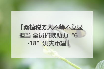 桑植税务人不等不靠显担当 全员捐款助力“6·18”洪灾重建