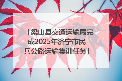 梁山县交通运输局完成2025年济宁市民兵公路运输集训任务