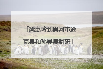 梁惠玲到黑河市逊克县和孙吴县调研