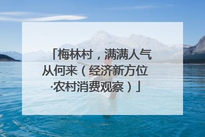 梅林村，满满人气从何来（经济新方位·农村消费观察）