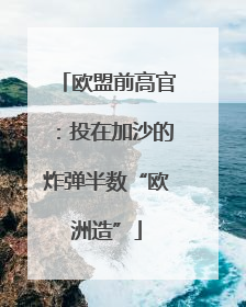 欧盟前高官：投在加沙的炸弹半数“欧洲造”