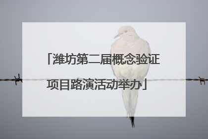 潍坊第二届概念验证项目路演活动举办