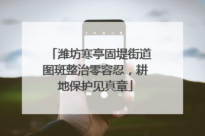 潍坊寒亭固堤街道图斑整治零容忍，耕地保护见真章