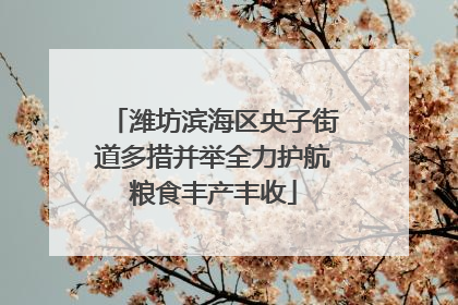 潍坊滨海区央子街道多措并举全力护航粮食丰产丰收