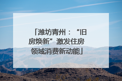 潍坊青州：“旧房焕新”激发住房领域消费新动能