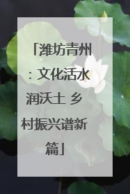 潍坊青州：文化活水润沃土 乡村振兴谱新篇
