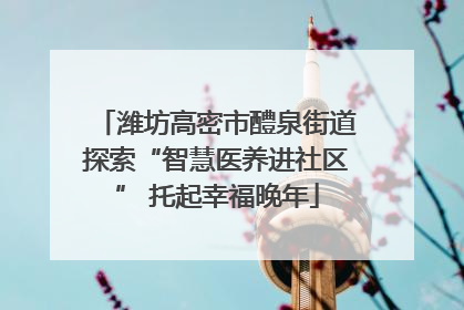 潍坊高密市醴泉街道探索“智慧医养进社区” 托起幸福晚年