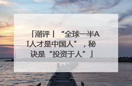 潮评丨“全球一半AI人才是中国人”，秘诀是“投资于人”