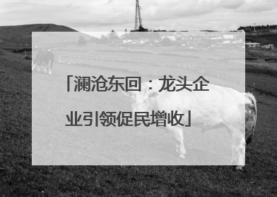 澜沧东回：龙头企业引领促民增收