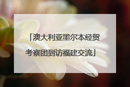 澳大利亚墨尔本经贸考察团到访福建交流