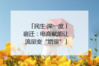 民生·深一度丨宿迁：电商赋能让流量变“增量”