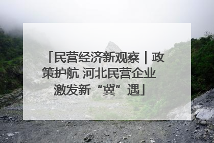 民营经济新观察｜政策护航 河北民营企业激发新“冀”遇