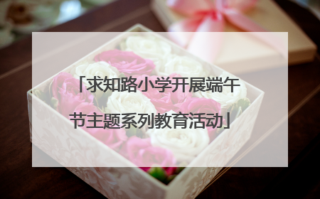 求知路小学开展端午节主题系列教育活动