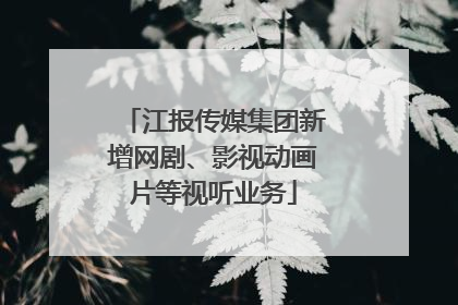 江报传媒集团新增网剧、影视动画片等视听业务