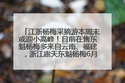 江浙杨梅采摘游本周末或迎小高峰！目前在售东魁杨梅多来自云南、福建，浙江露天东魁杨梅6月中旬大量上市