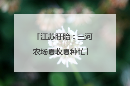 江苏盱眙：三河农场夏收夏种忙
