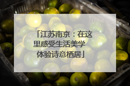 江苏南京：在这里感受生活美学 体验诗意栖居