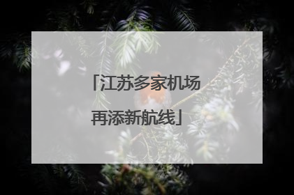 江苏多家机场再添新航线
