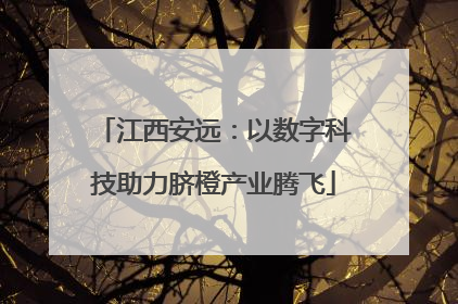 江西安远：以数字科技助力脐橙产业腾飞