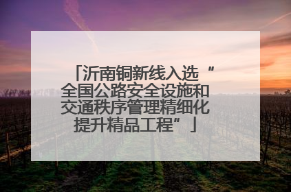 沂南铜新线入选“全国公路安全设施和交通秩序管理精细化提升精品工程”