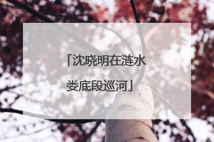 沈晓明在涟水娄底段巡河
