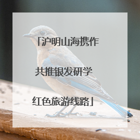 沪明山海携作 共推银发研学红色旅游线路