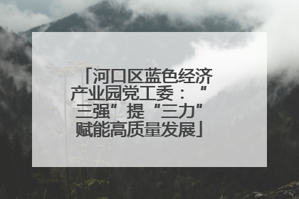 河口区蓝色经济产业园党工委：“三强”提“三力”赋能高质量发展