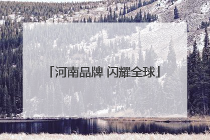 河南品牌 闪耀全球