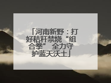 河南新野：打好秸秆禁烧“组合拳” 全力守护蓝天沃土